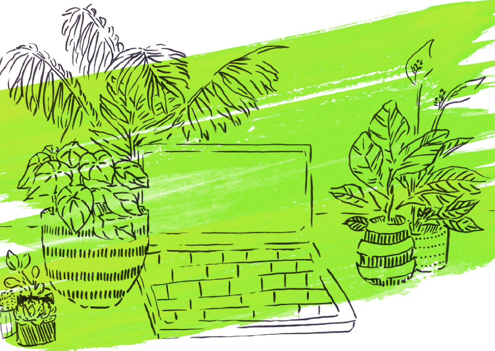 Image for the 'Shopify Online Store 2.0 - A first look' article