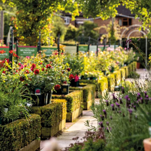 Featured image for this client's case study