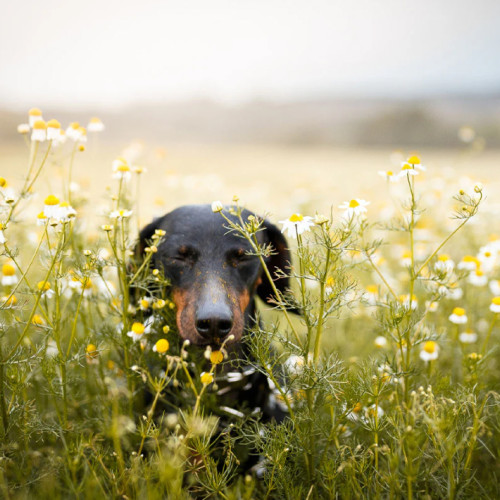 Featured image for this client's case study