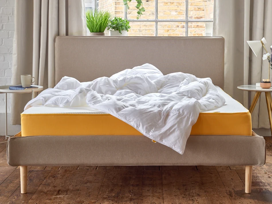 An image associated with this client